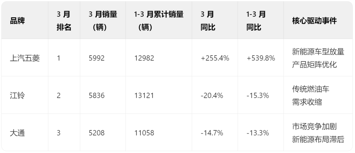 2025年3月VAN车市场解析